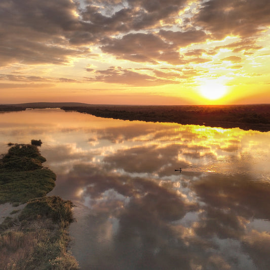 Weathering the Dry Season: How the Royal Chundu Foundation Supports Communities During the Drought in Zambia